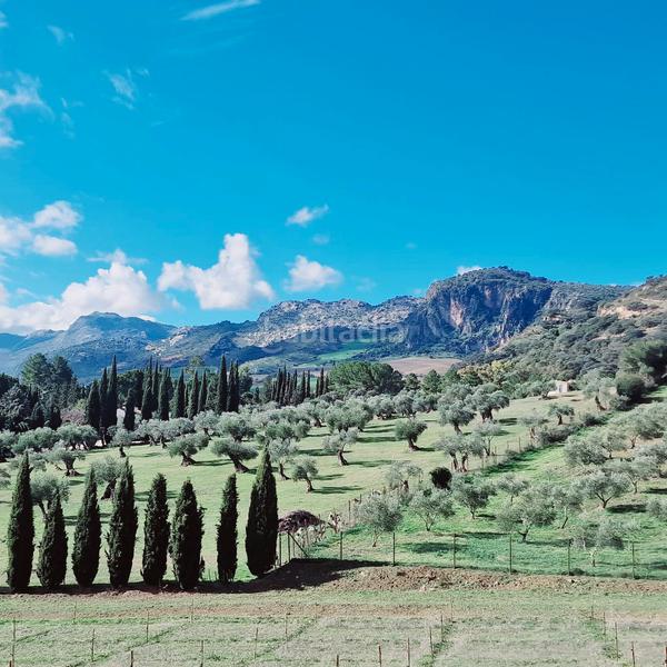 Foto 8ae02cb9-74b5-4eaf-8b95-d2ecd36136fe. Masia amb calefacció aparcament piscina a Partidas Norte Ronda