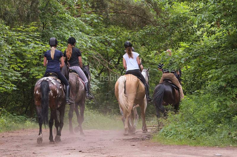Foto a57cd90f-2ec1-4516-ab67-b924683cb2be. Masia amb calefacció aparcament piscina a Partidas Norte Ronda
