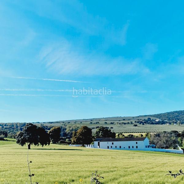 Foto fc47df3c-c7b2-4ecb-88bb-e34799855295. Masia amb calefacció aparcament piscina a Partidas Norte Ronda