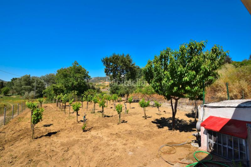 Foto 0399d5bc-3599-462f-859a-e948741abbf0. Bauernhof mit heizung parking pool in Partidas Norte Ronda