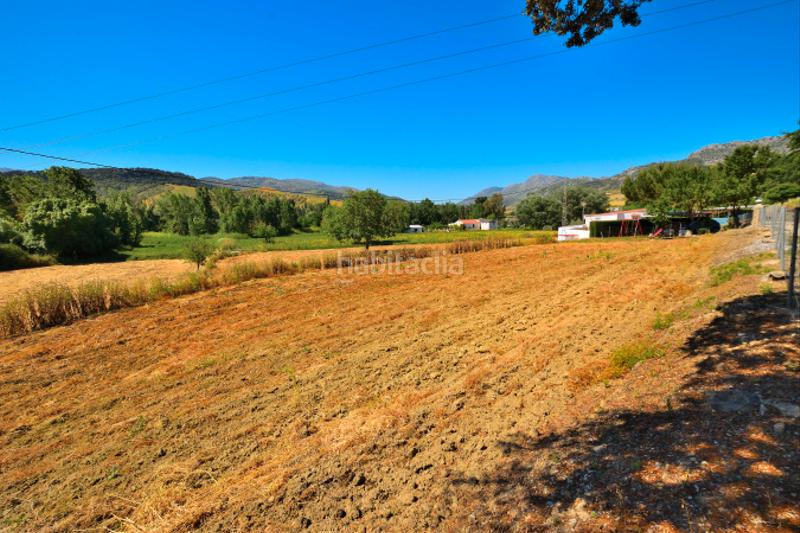 Foto 08a4fabc-eefb-49c0-a8ce-b5c06a76e347. Bauernhof mit heizung parking pool in Partidas Norte Ronda