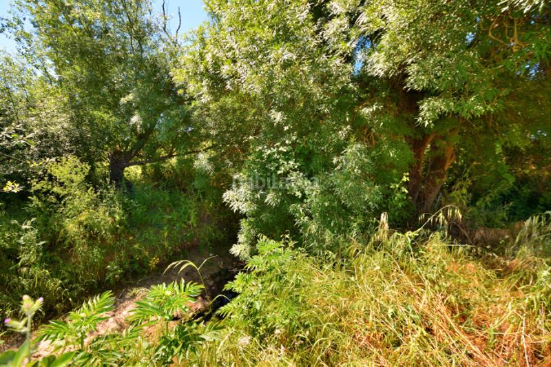 Foto 453ae4bc-461b-4ccc-8bdb-0151b0d01dd6. Bauernhof mit heizung parking pool in Partidas Norte Ronda