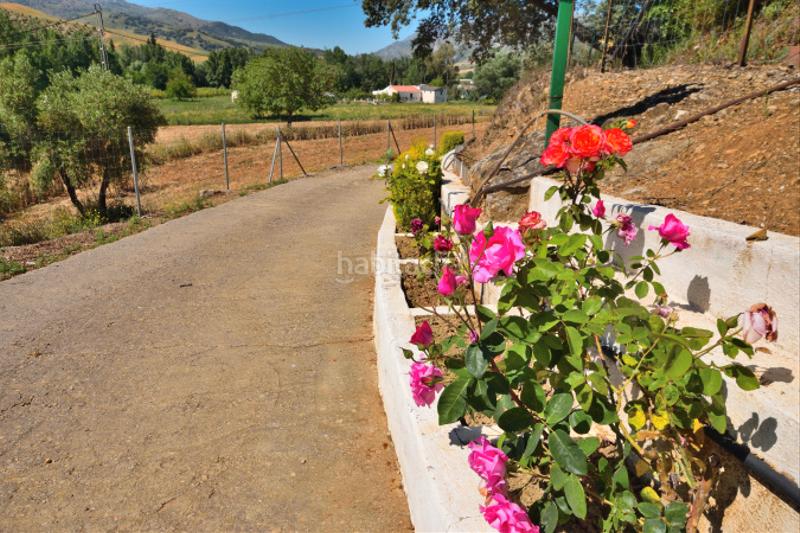 Foto 8302e49e-31bd-4cfb-8c66-f2b4e6714ad1. Bauernhof mit heizung parking pool in Partidas Norte Ronda