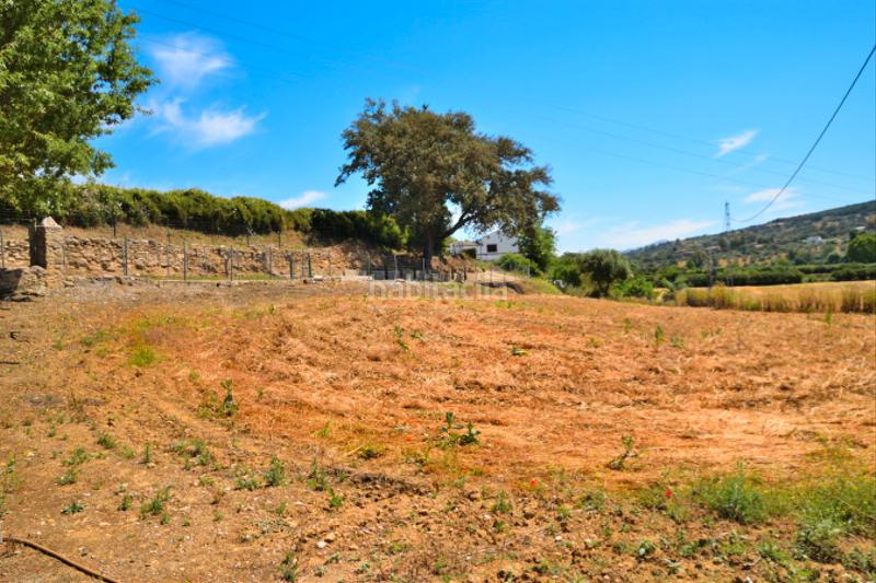 Foto a786e147-ab94-4f1e-8a9b-465a866c1a41. Bauernhof mit heizung parking pool in Partidas Norte Ronda