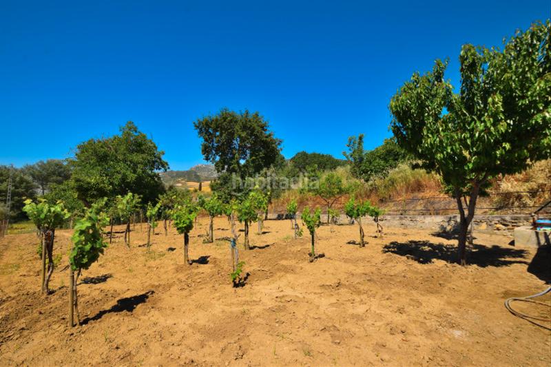 Foto c3d1906d-25d4-4bb0-b393-17a1877e1f18. Bauernhof mit heizung parking pool in Partidas Norte Ronda