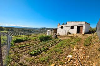Terreny residencial a Pruna. Rebajado de 51.000 € a 44.000 € ¡oportunidad única en olvera!