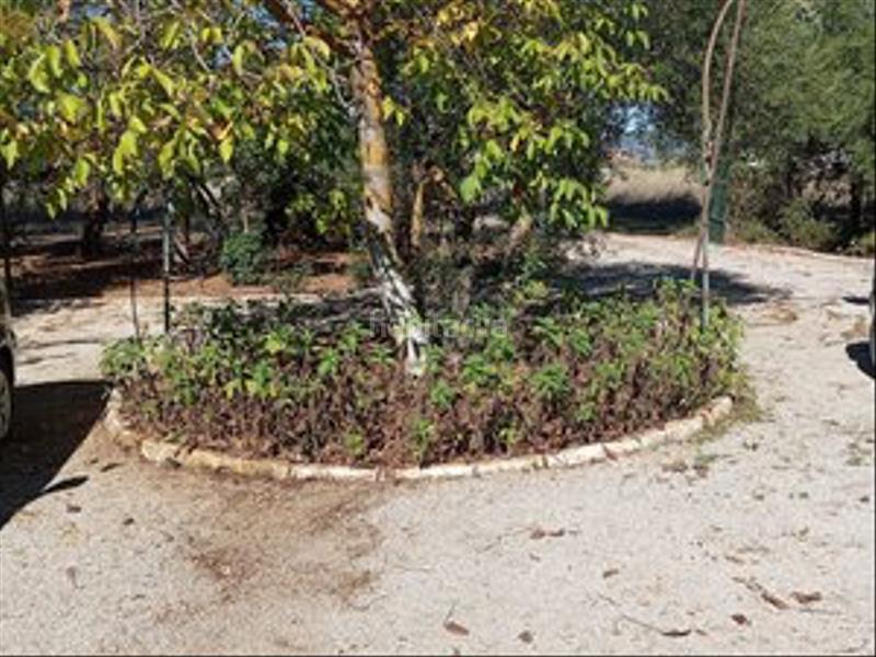 Foto 2f35b14b-c9b0-466f-a86e-5f470b7b1d30. Location mas avec parking piscine dans Partidas Norte Ronda