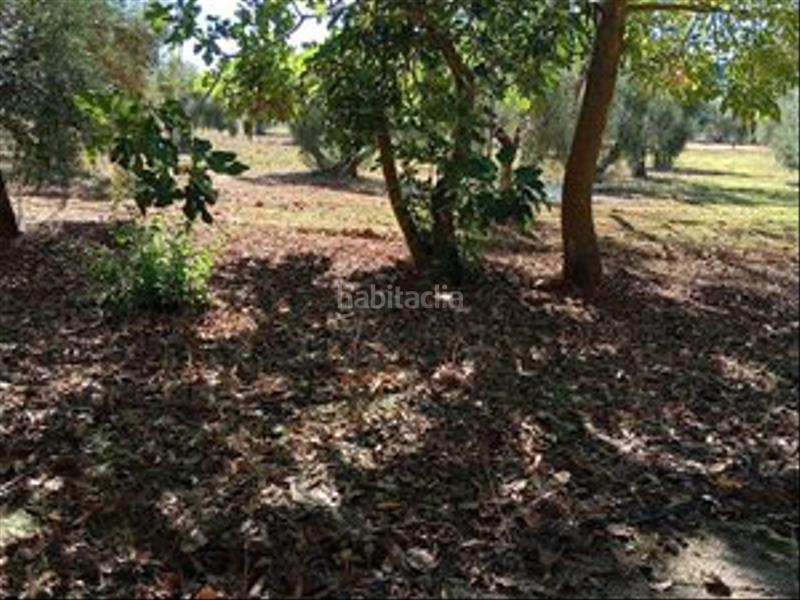 Foto fc75cb28-c3e5-46a6-bebb-874b02020672. Location mas avec parking piscine dans Partidas Norte Ronda