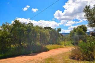 Masia a Cuevas del Becerro. Finca rústica en venta en cuevas del becerro