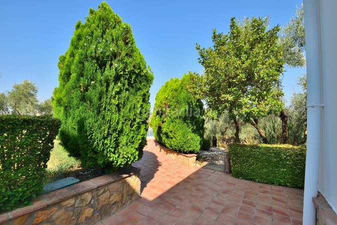 Foto 128b8436-9ba7-4361-9302-4f3638d86c23. Masia amb xemeneia aparcament piscina a Arriate