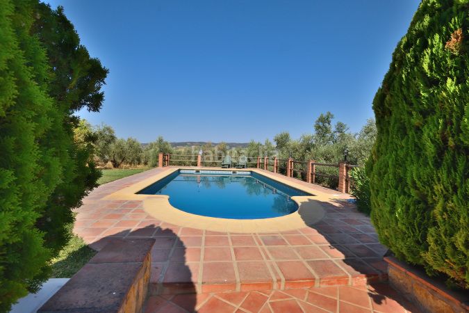 Foto 43e36731-dd4a-454a-a58f-6317b18d852b. Masia amb xemeneia aparcament piscina a Arriate