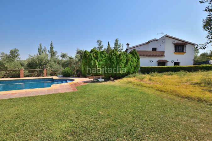 Foto 99be1057-ba33-4d8c-8906-5102020a0c5a. Masia amb xemeneia aparcament piscina a Arriate