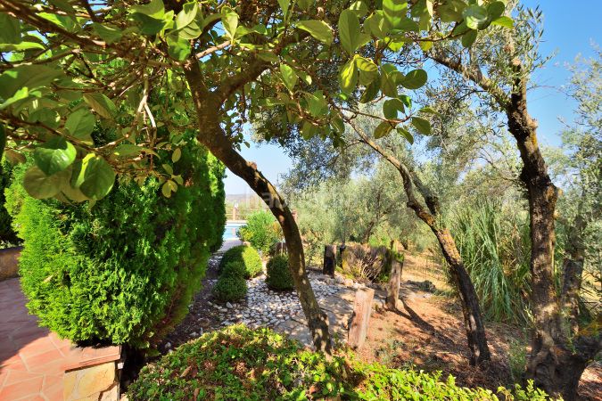 Foto bd9f8241-9023-4505-978a-b64bf7c7018b. Masia amb xemeneia aparcament piscina a Arriate