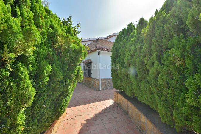 Foto cf05fca2-b925-4797-8372-7fc37875e4ab. Masia amb xemeneia aparcament piscina a Arriate