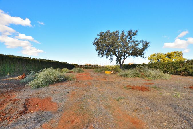 Foto 74e96dd3-eff1-4718-8273-de5314e5a771. Masía finca rústica en venta en Partidas Norte en Ronda
