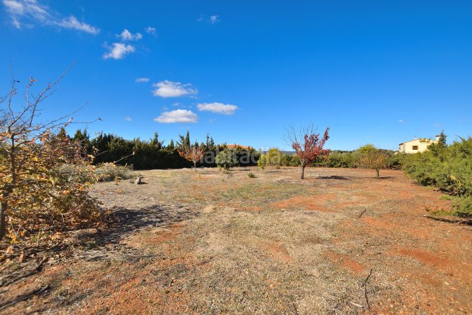 Foto 955dbfe0-18dd-4bb1-80fe-515a9920ff9b. Masía finca rústica en venta en Partidas Norte en Ronda