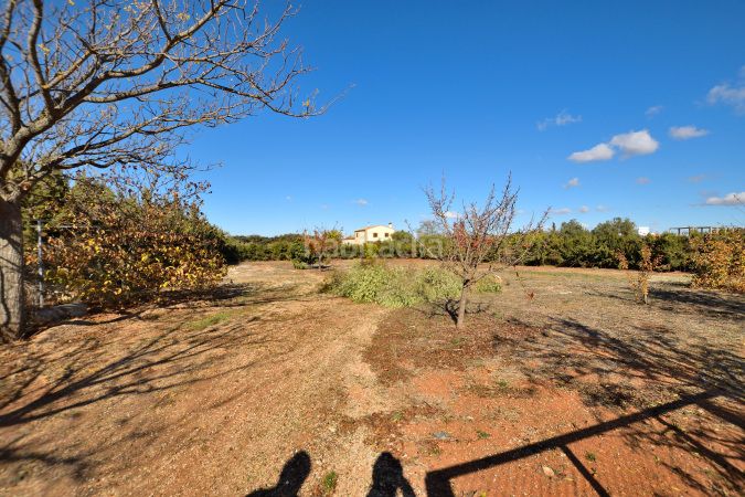 Foto a6a7f207-839d-4cbe-9b61-04ba3525263c. Masía finca rústica en venta en Partidas Norte en Ronda