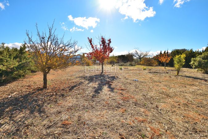Foto c3ab11a1-998e-4993-baa9-69ec66178791. Masía finca rústica en venta en Partidas Norte en Ronda
