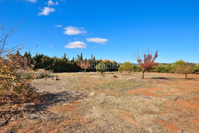 Foto e9c703da-1deb-45e0-8d31-bb5c387e2e91. Masía finca rústica en venta en Partidas Norte en Ronda