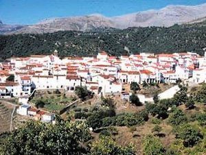 Miete Haus  Calle corchuelo