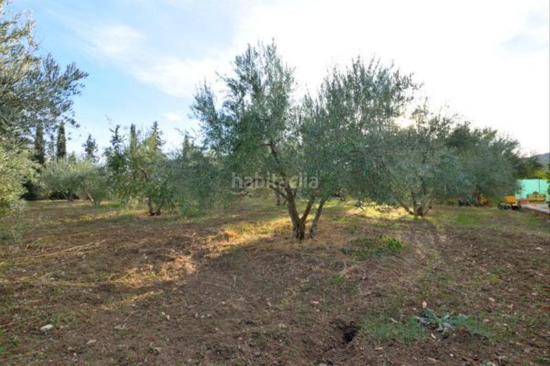 Foto 799b3ed5-c146-4f74-b44a-e27c07a141af. Casale con parcheggio piscina in Arriate