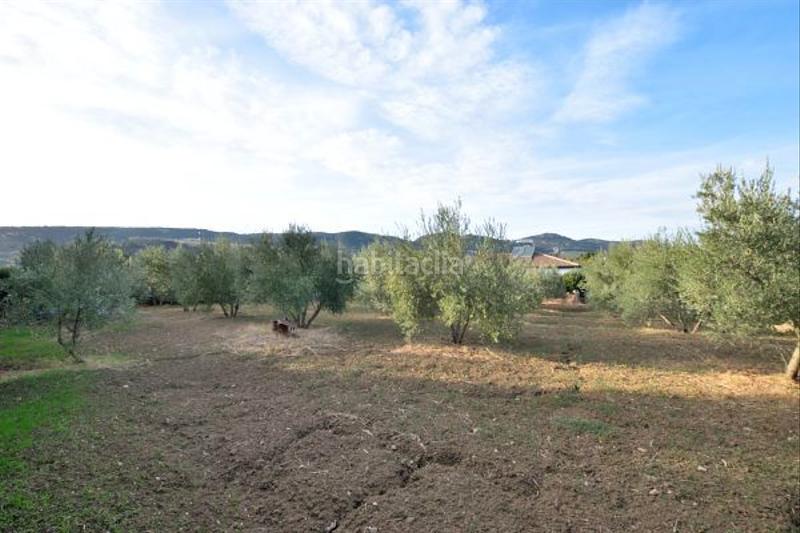 Foto 9f7b005a-6525-4da9-9d94-94a85191a013. Casale con parcheggio piscina in Arriate