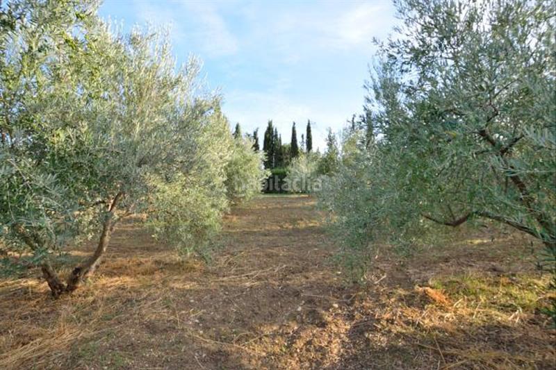 Foto c7d612fe-adb8-4181-8ba4-89a267cd8752. Casale con parcheggio piscina in Arriate