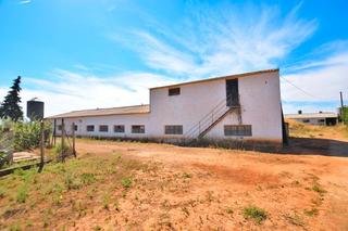 Masia a Arriate. ¡¡¡rebajado de 365.000 € a 320.000 €!!! finca rústica a 5 minuto