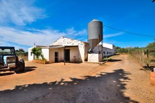 Country house in Arriate. ¡¡¡rebajado de 365.000 € a 320.000 €!!! finca rústica a 5 minuto