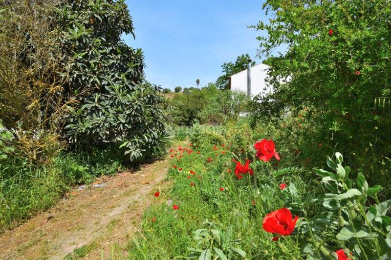 Foto c9581332-1f68-4aee-a1dc-00b09b6d89d8. Masia amb aparcament a Arriate