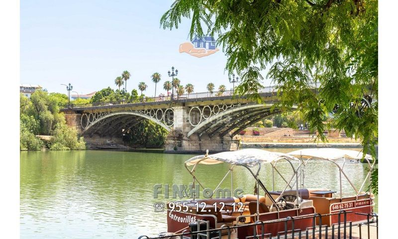 Foto 36ca1671-ade6-41f6-bce1-9cdd4580dae6. Lloguer àtic amb calefacció a Triana Casco Antiguo Sevilla