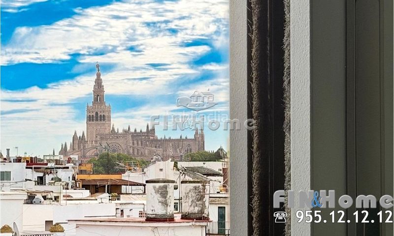 Foto d45b9419-d897-45ef-bba0-d21c541aa41e. Àtic amb calefacció a Triana Casco Antiguo Sevilla