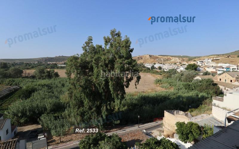 Foto 8c353519-83bf-4946-9812-366f90697d67. Piso  en venta en barrio bajo, 2 dormitorios. en Puente Genil