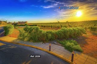 Terreno residencial en Puente Genil. Parcela en venta en puente genil.