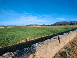 Landgut in Llucmajor Interior. Se venden tres fincas rústicas que se pueden agrupar y formar un