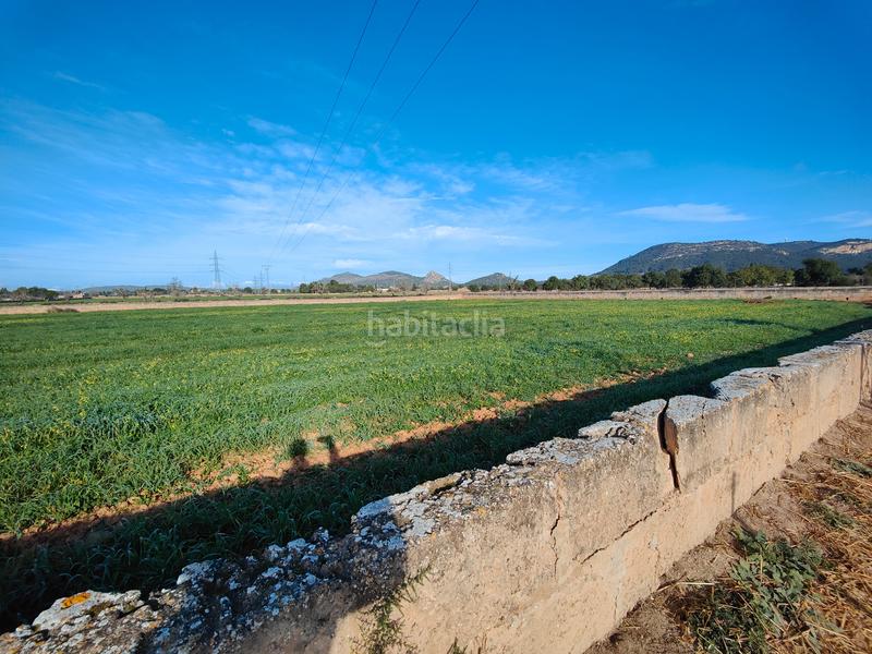 Foto dceb0f74-f4ec-4a65-ba7f-ea3b7e9a790c. Finca rústica a Llucmajor interior Llucmajor