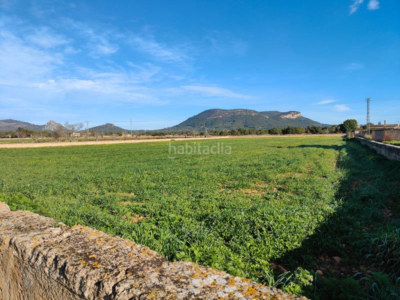 Foto ef73f6df-8f89-4021-87af-c63e911559b8. Finca rústica a Llucmajor interior Llucmajor