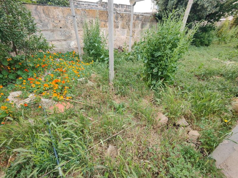 Foto b4bf7905-450d-4b21-bc46-5a91df0ee7b8. Residential plot in Llucmajor interior Llucmajor