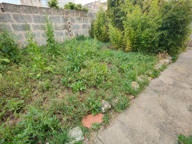 Foto cdf84c79-8128-4ada-a682-cbde3703f7c3. Residential plot in Llucmajor interior Llucmajor