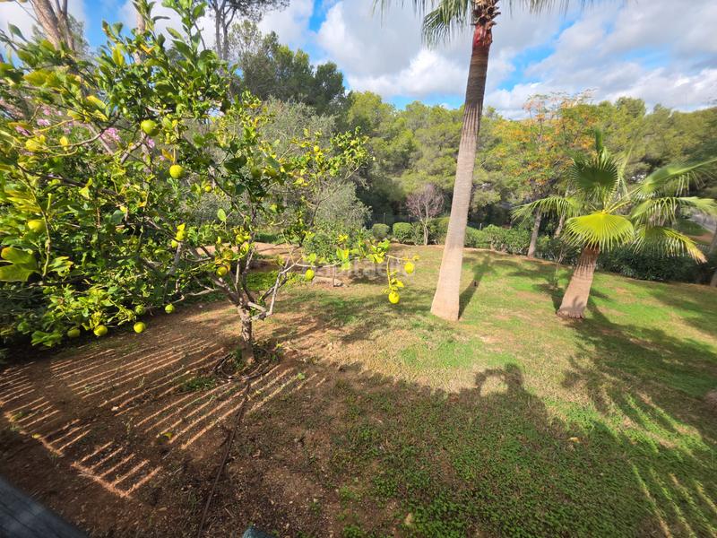 Foto 7792e35b-67b5-4e7a-8c15-c0fe9964aa39. Affitto casa a schiera con riscaldamento parcheggio piscina in Calvià