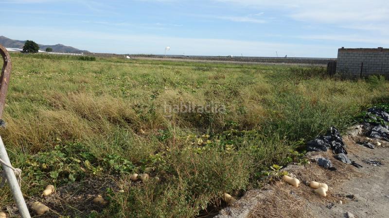 Foto 4c8d0e25-94b6-4f05-bede-1ff9b3e69736. Finca rústica a Motril ciudad Motril