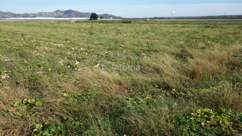 Foto 4e1bb6d9-6a40-4c98-8e44-adcb3be10726. Finca rústica a Motril ciudad Motril