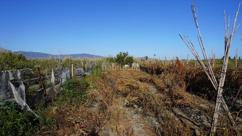 Foto f59a10cb-2d74-48d5-9964-47cc916684d0. Finca rústica finca con 6 marjales en pago río seco en Salobreña