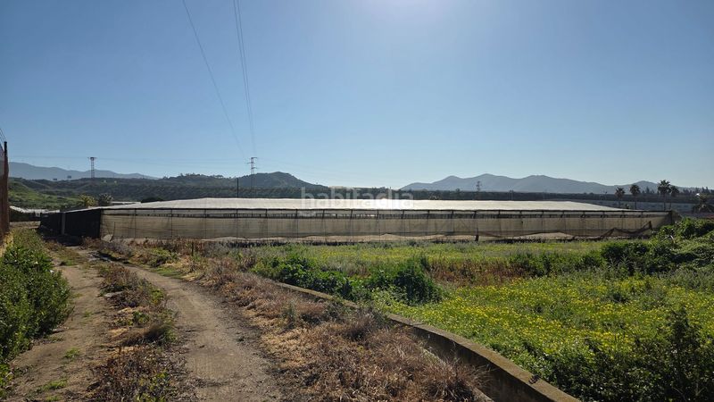 Foto 4c77e3f5-86a7-463c-ae99-3043c0108a58. Finca rústica a Motril ciudad Motril
