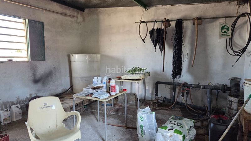 Foto d0fad1e0-2801-4a29-ac87-75b09aa4998d. Finca rústica a Motril ciudad Motril
