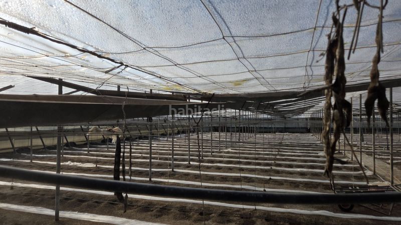 Foto ee738889-d607-41a6-8c7c-dc4d4bff0c6c. Finca rústica a Motril ciudad Motril