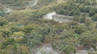 Finca rústica en Motril  ciudad. Finca de aguacates en pataura