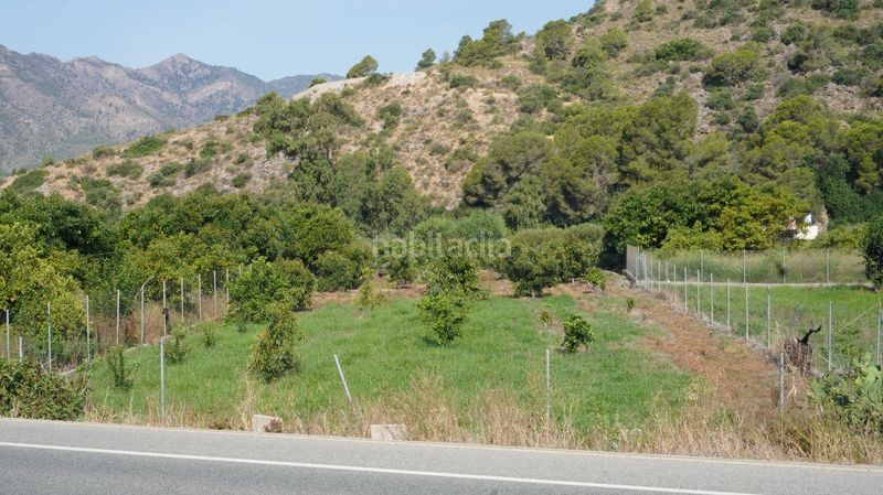 Foto 5b85da93-9c25-42c5-aa7d-8fec272d1ddc. Finca rústica a Vélez de Benaudalla