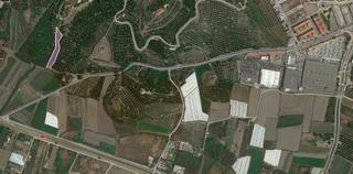 Finca rústica  Salobreña. 4,25 marjales de chirimoyos adultos detrás del jj, junto a los c