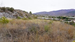 Finca rústica  Los coscurros. Finca en los coscurros de 30 marjales en varios bancales para in